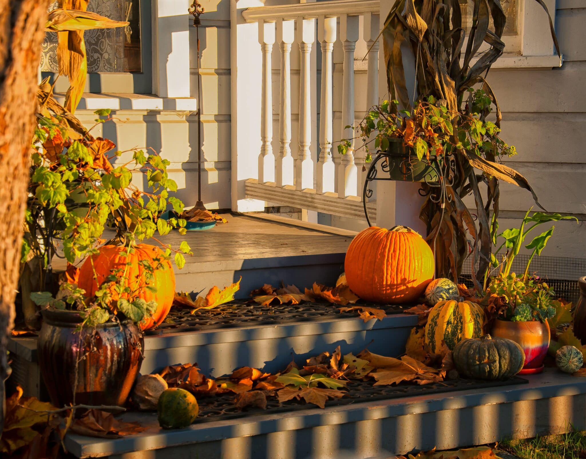 Home Improvement Projects to Tackle This Fall