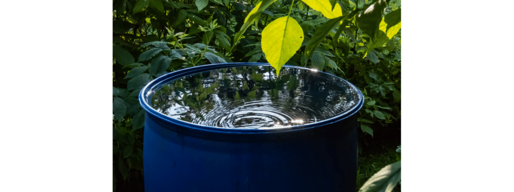 rainwater harvesting